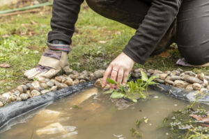 A person building a wildlife pond