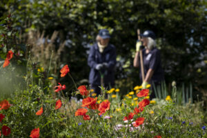 Scottish Wildlife Trust Induction for Volunteers
